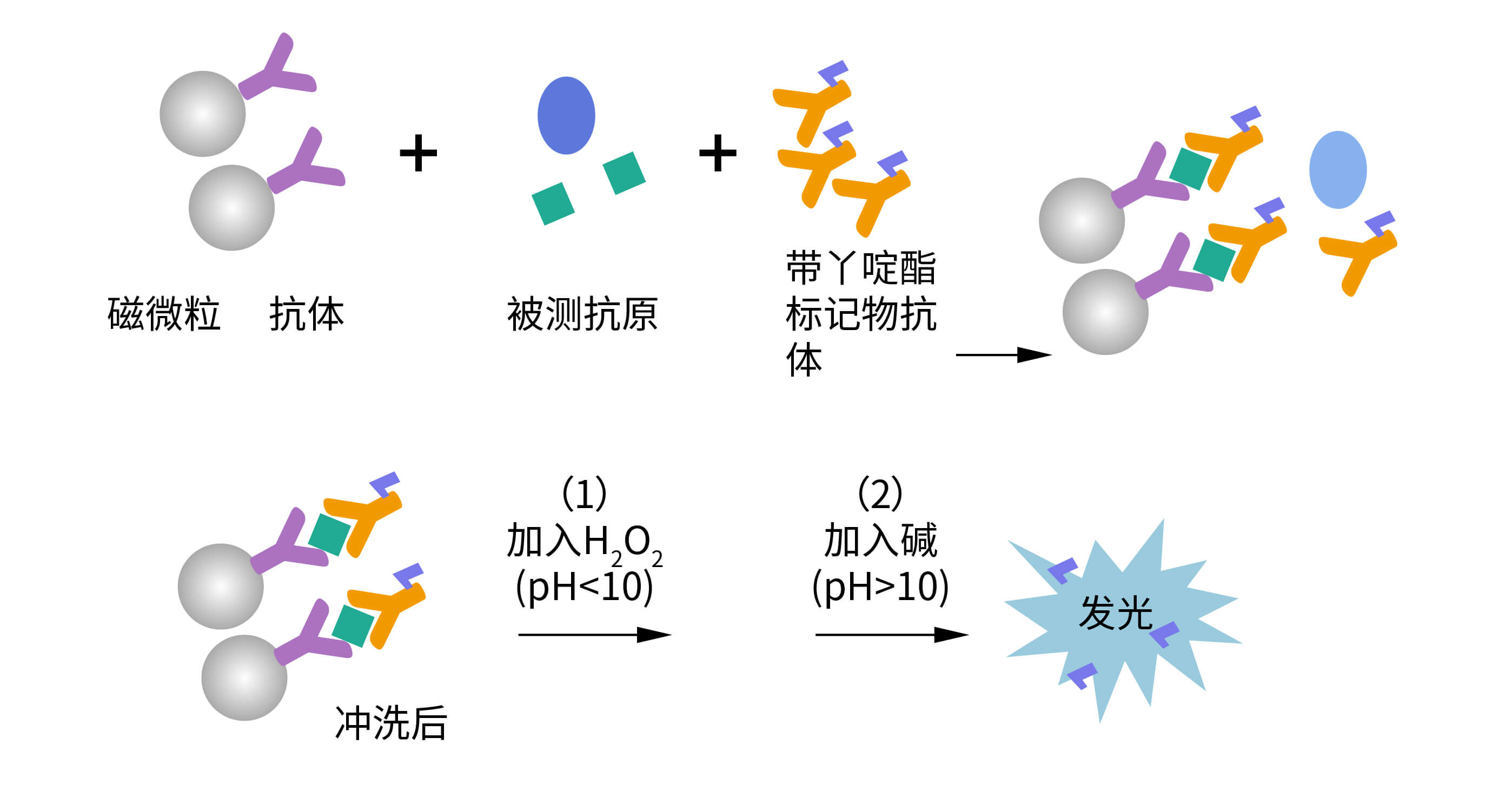 化學(xué)發(fā)光檢測平臺