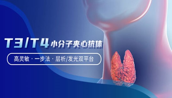 【小分子夾心法】甲功T3/T4，高靈敏&一步法